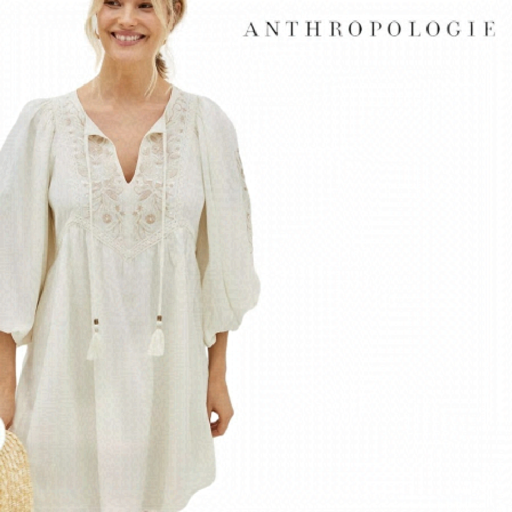 Anthropologie Viveka Embroidered Lace Mini Dress